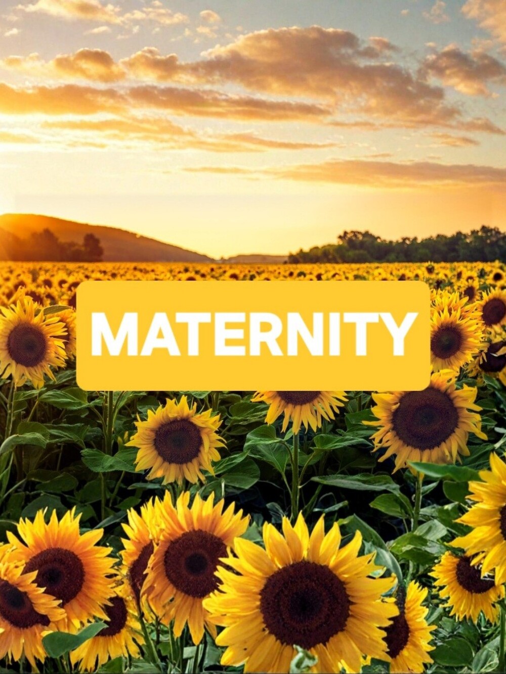 MATERNITY CLOTHING - Picture 1 of 1